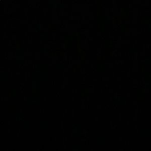 Meet your Posher, Maryann